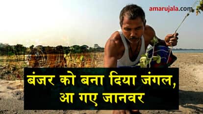 unknown facts about jadav payeng the jungle man of india special story