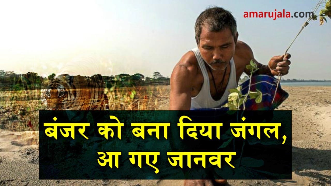 प्रतीकात्मक तस्वीर