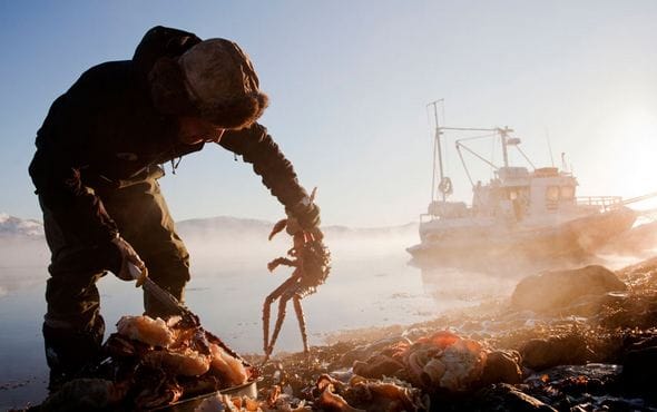The Highest Paying Most Dirty Jobs in The World 