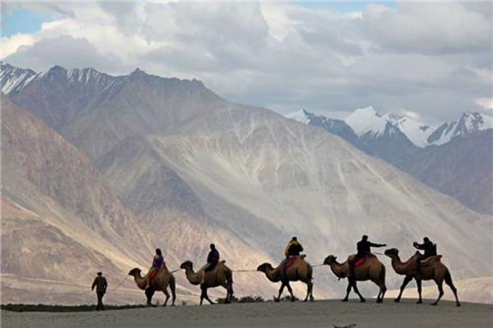 Indian army to introduce camles pilot project for patrolling in LAC against China