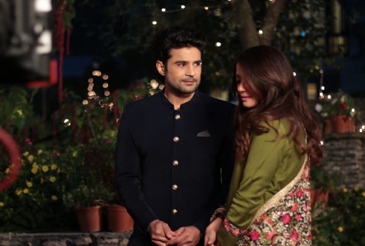 Surveen Chawla secret wedding pictures goes viral on Internet 
