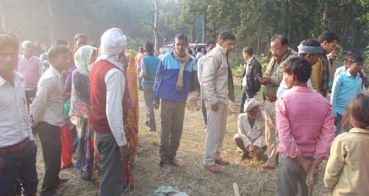 लकड़ी बीनने गई बुजुर्ग महिला को बाघ ने बनाया निवाला