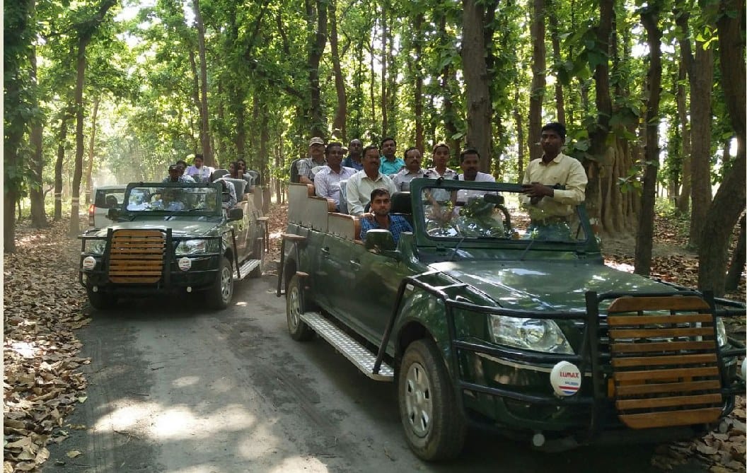 Hippo scheme is not started at Tiger reserve