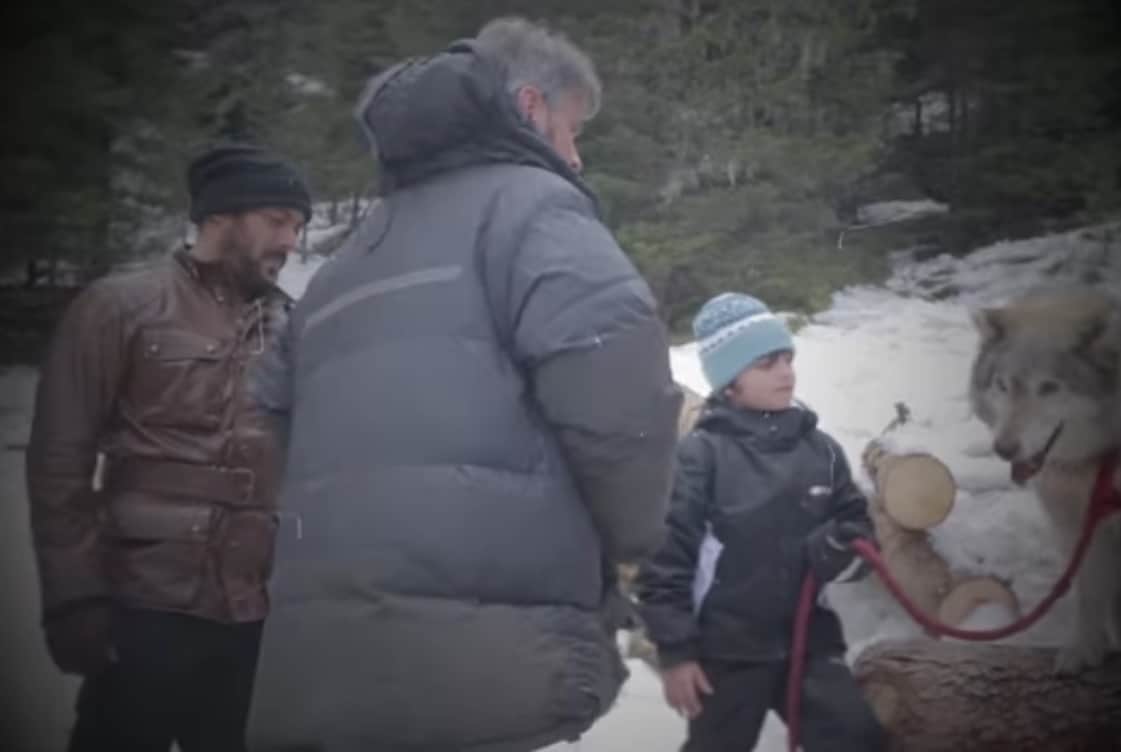 salman khan Making of Tiger zinda hai and Wolves scene 