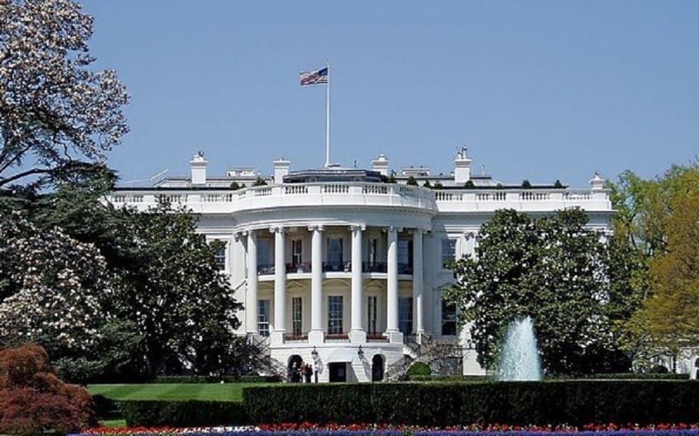 Donald Trump life is threatened by two hunders years olds tree in white house