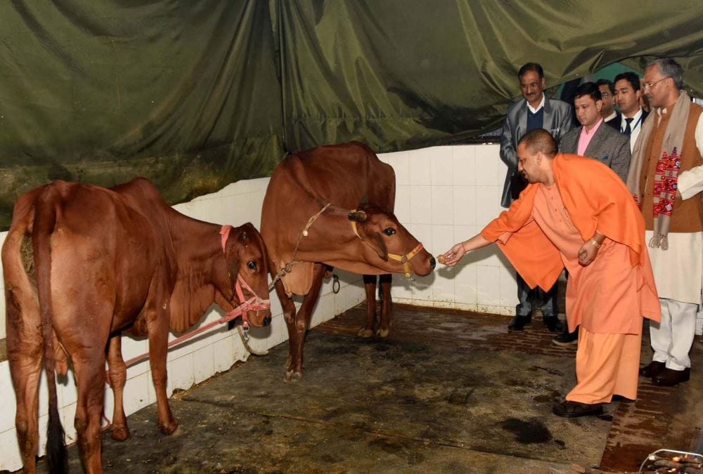 yogi adityanath very happy to seen this thing