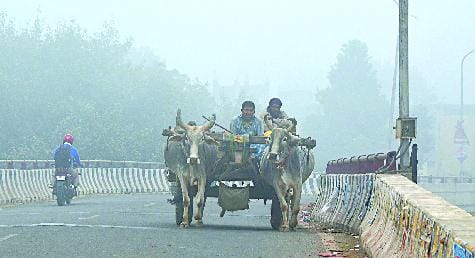 The first day of the new year will be dry and pleasant