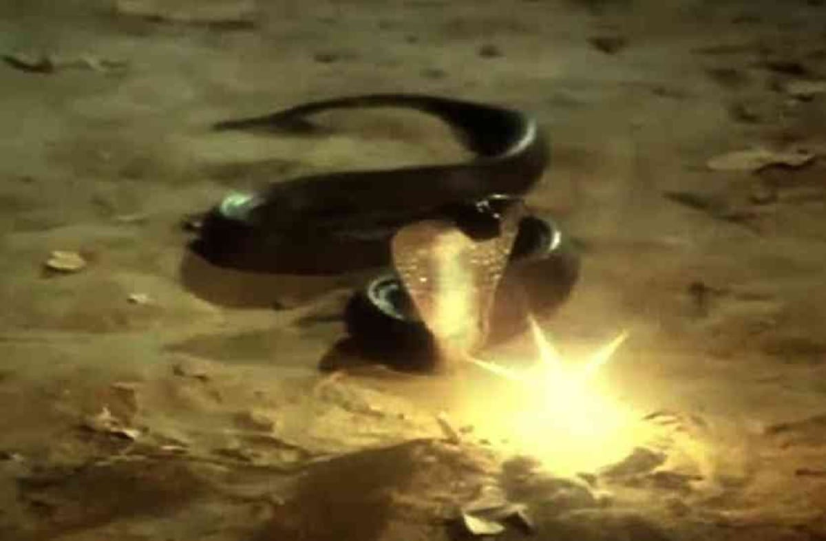 do you know ten thing about naagmani