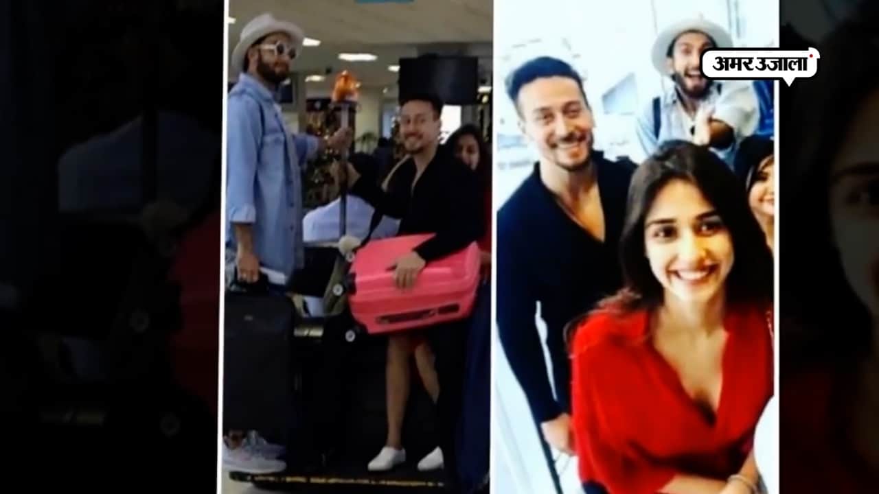 दिशा, टाइगर 