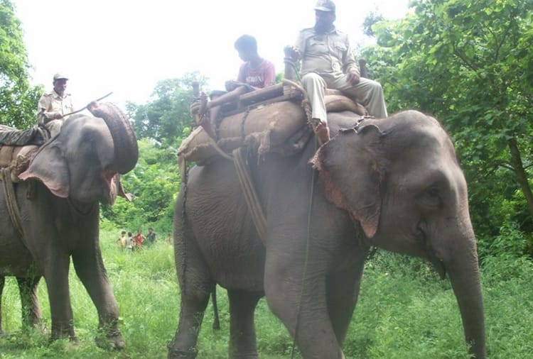 celebrate new year at katarniyaghat wildlife sanctuary