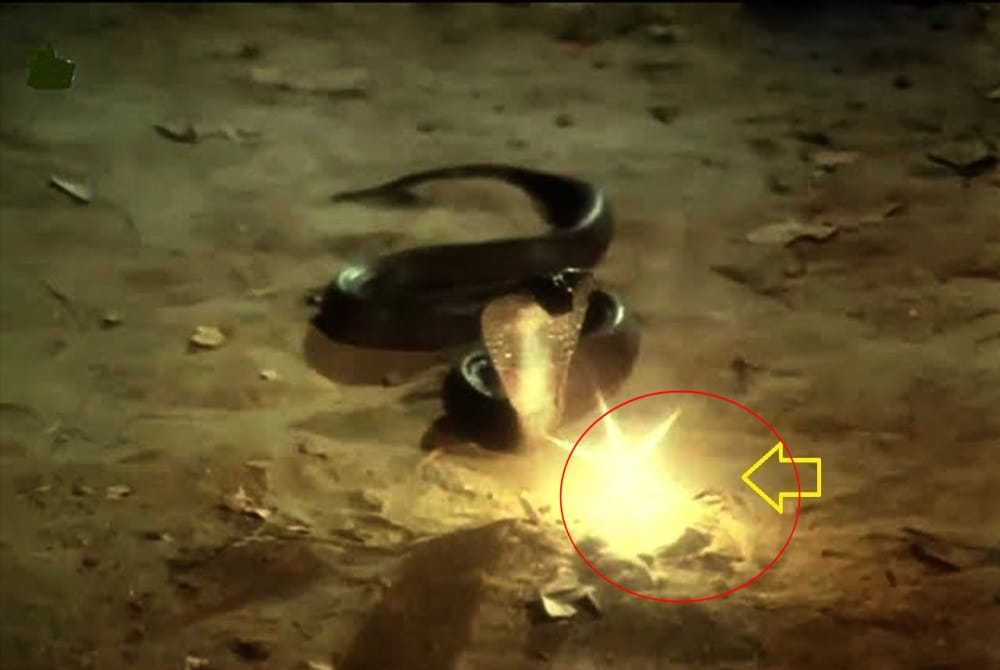 nagmani and nagraj in latu devta temple mysterious story 