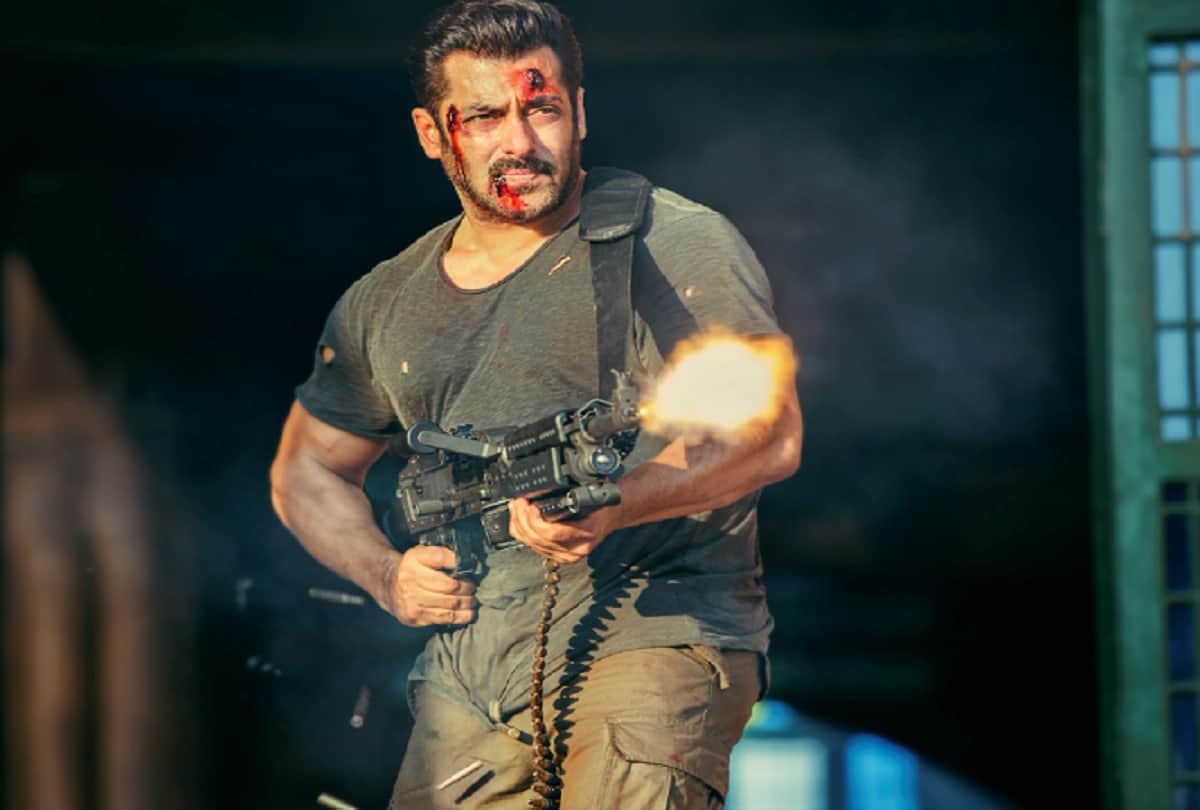ten best Dialog of film tiger zinda hai 