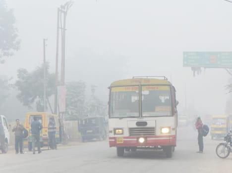 Temperature slows below 5 degrees, gains rise