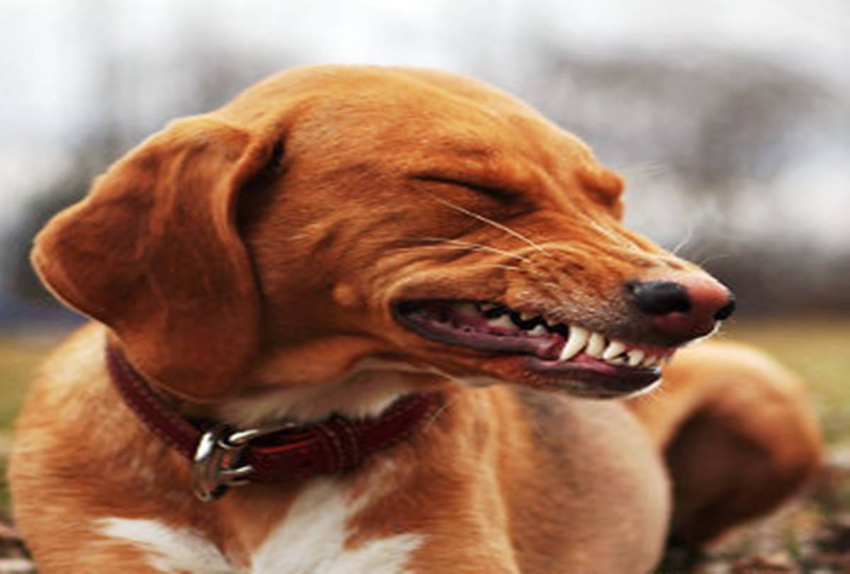 Every time sneezes are not bad