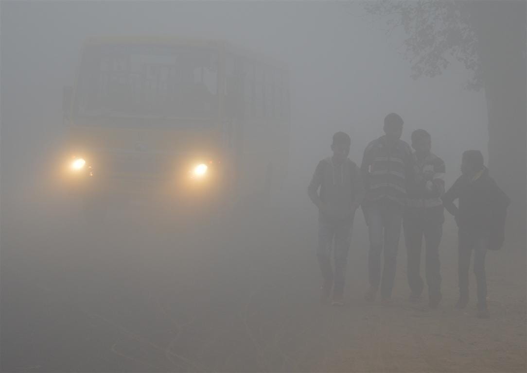 Fog stop life line, cold winds shuddering