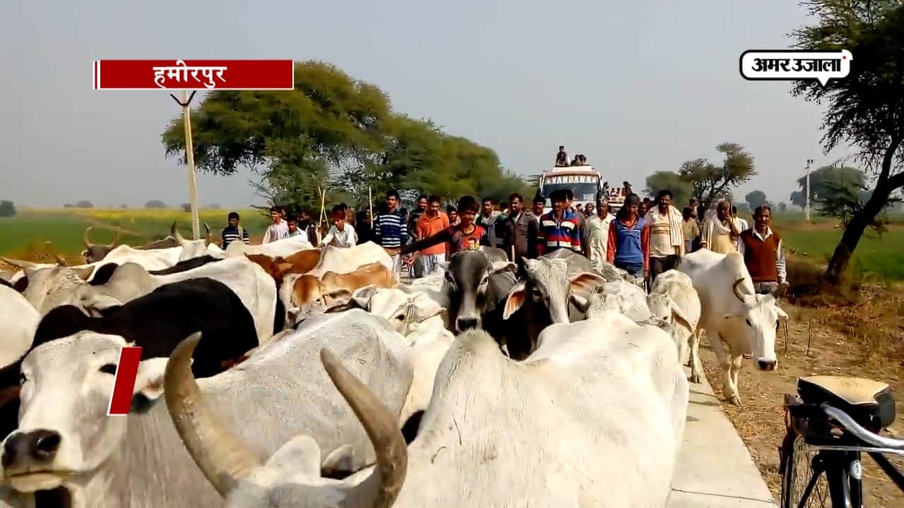 हमीरपुर