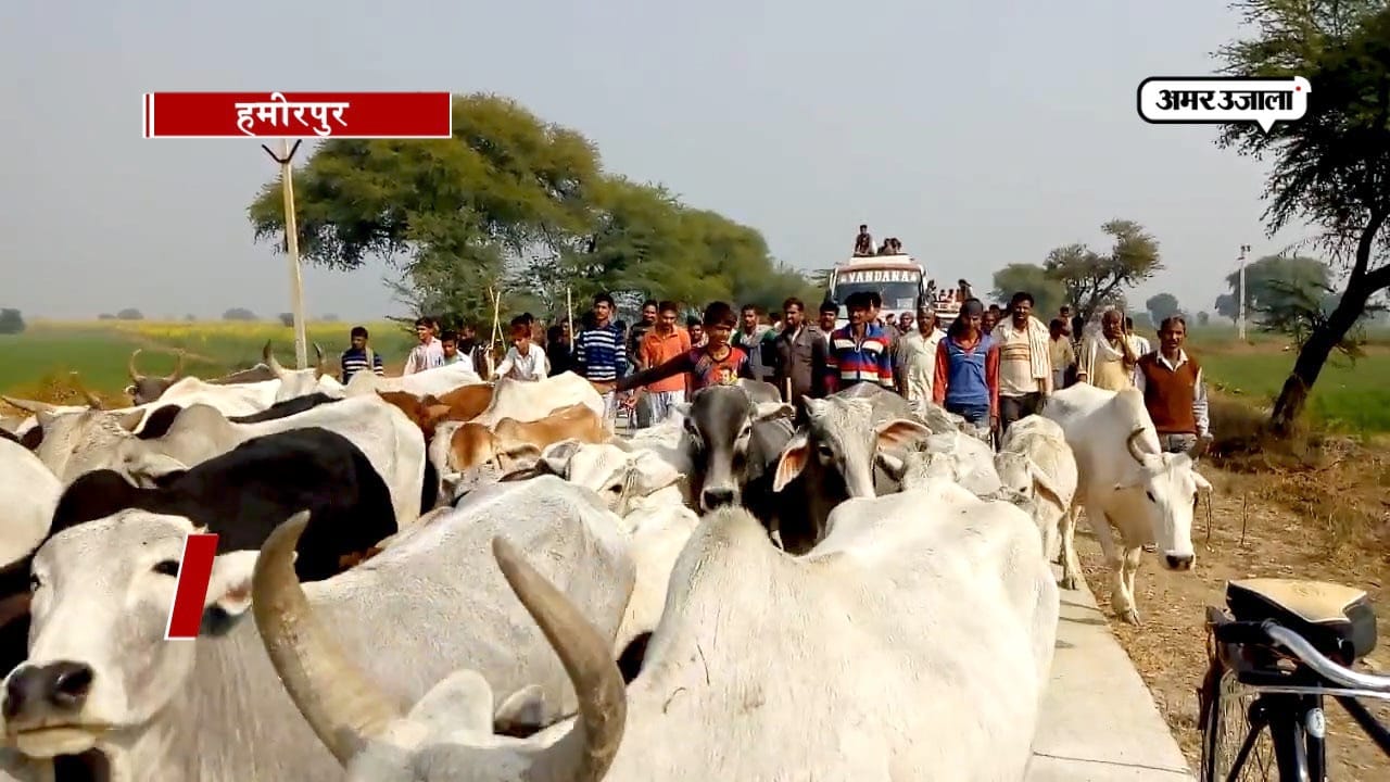 हमीरपुर