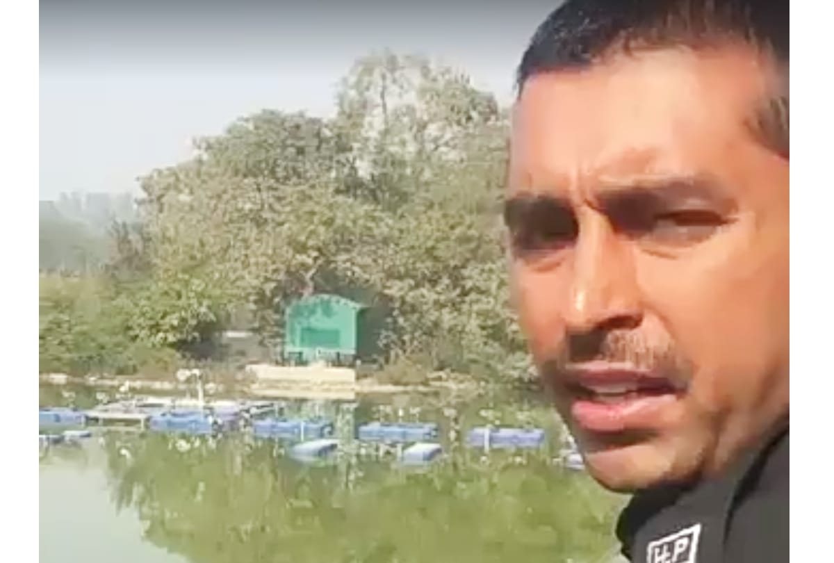 Viral video of Rohtak tiliyar lake, Haryana news