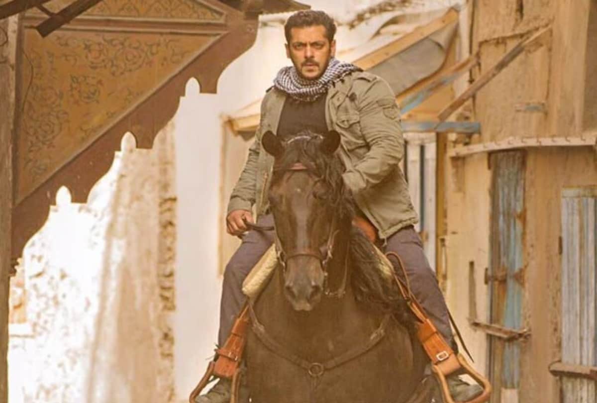 salman khan katrina kaif film tiger zinda hai day 11 collection