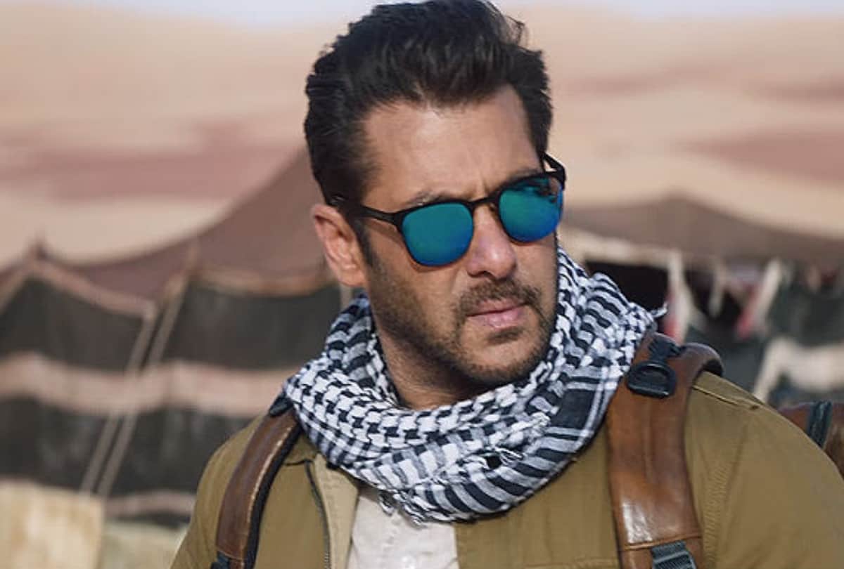 salman khan katrina kaif film tiger zinda hai day 8 collection