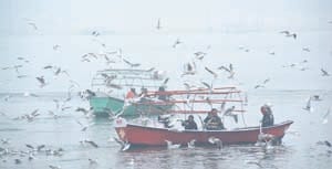 Smog, chill increased by cold wave