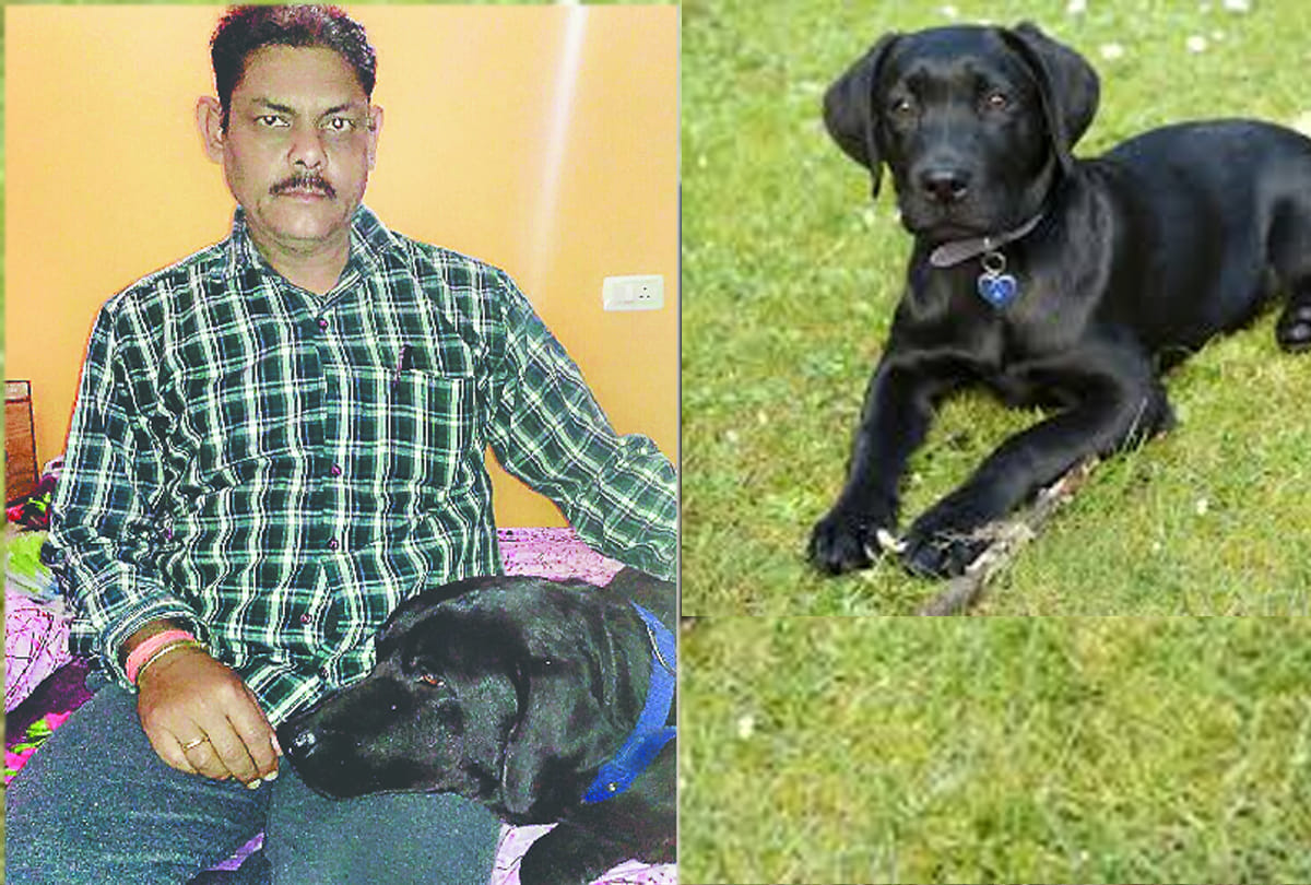 Two thousand rupees for stolen dog
