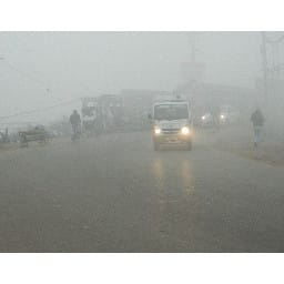 पूरे दिन कोहरे से ढंका रहा जनपद