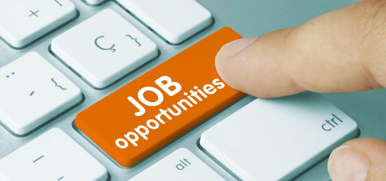 government job in this department