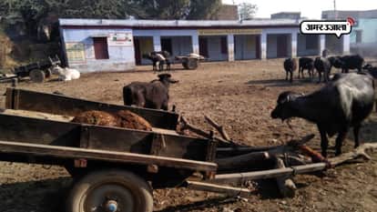 SCHOOL TURNS INTO TABELA IN MATHURA VILLAGE