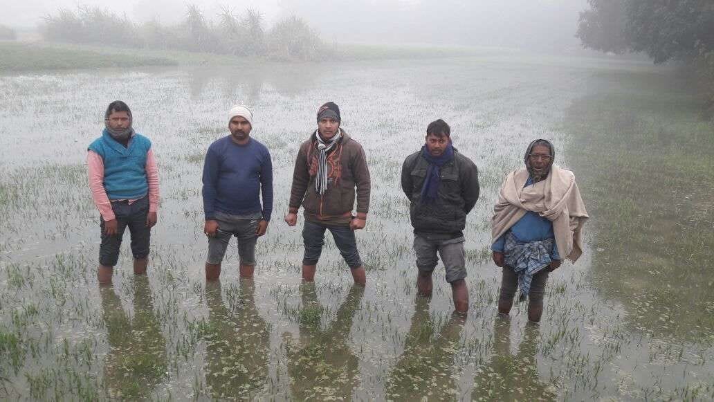 माइनर ओवर फ्लो होने से 50 बीघा  फसल डूबी