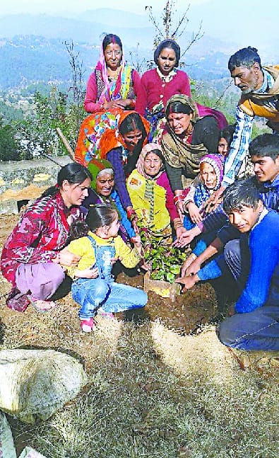 Resolve to keep Himalayan region green