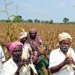 Farmers income decreasing goverment blame environmental changes