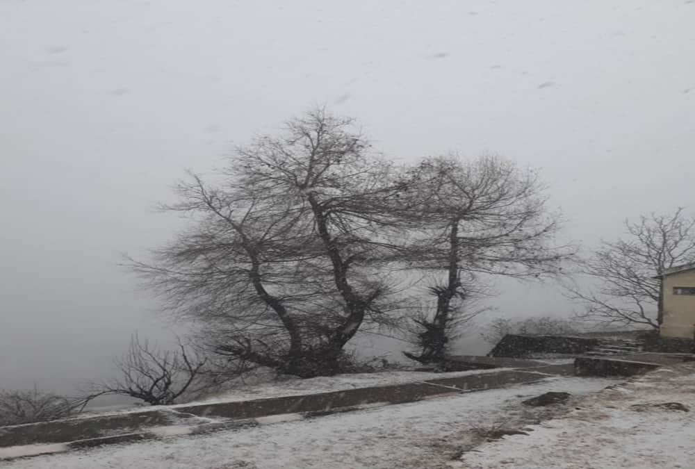 new year 2018 snowfall in auli and badrinath uttarakhand