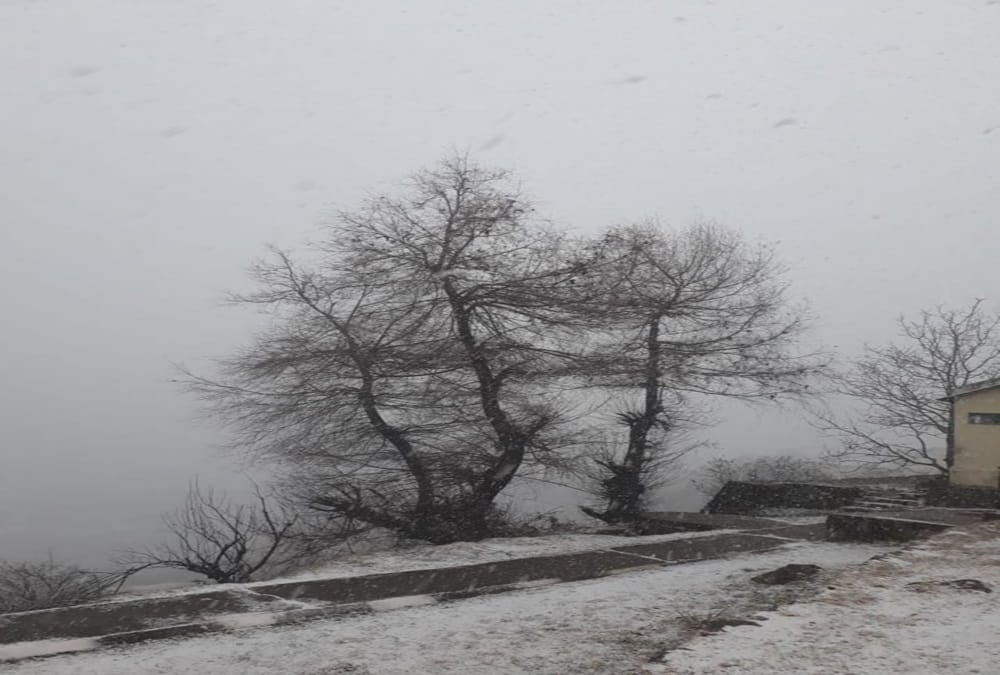 new year 2018 snowfall in auli and badrinath uttarakhand