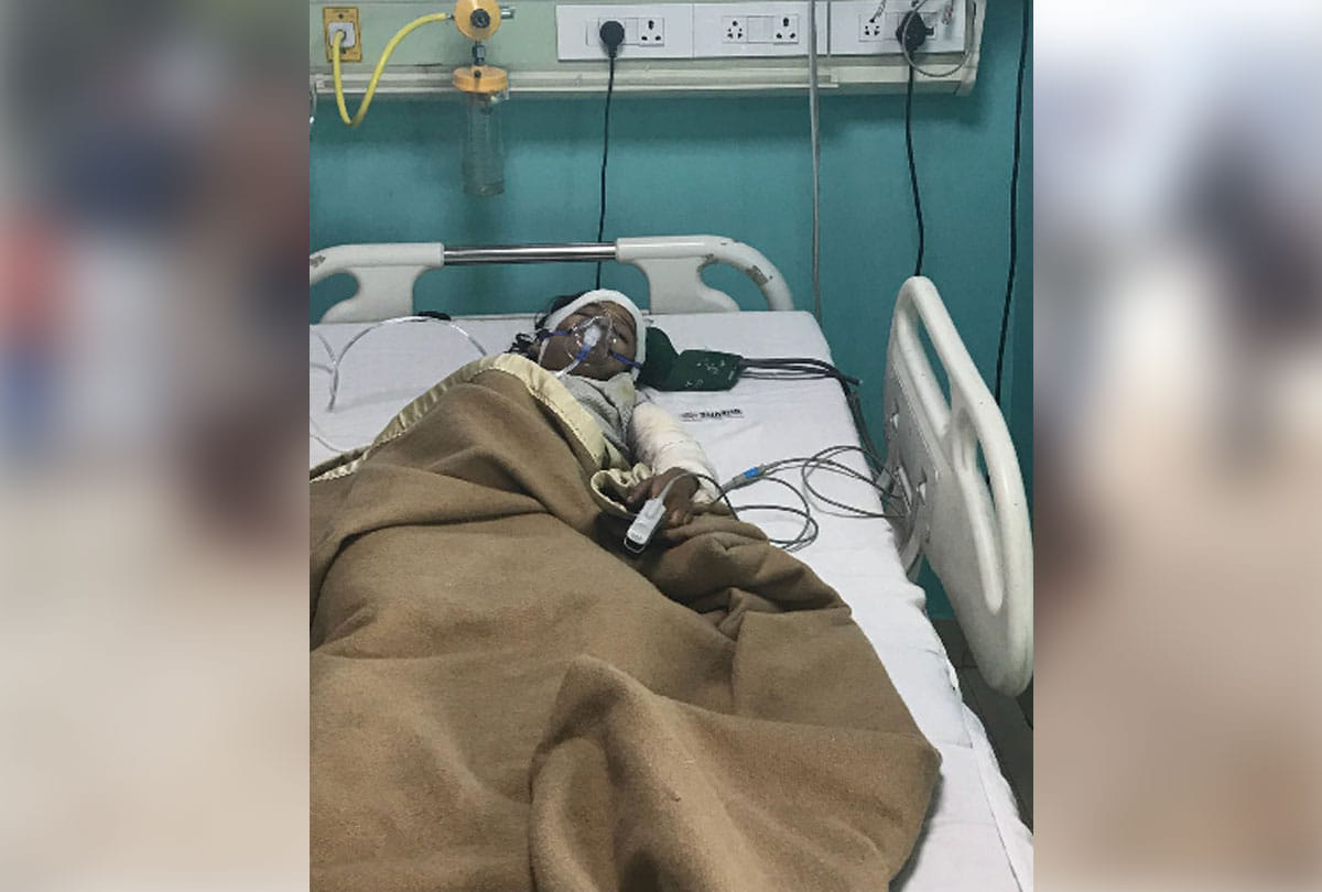 girl bite by dogs in greater noida
