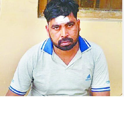 firing on forest workers