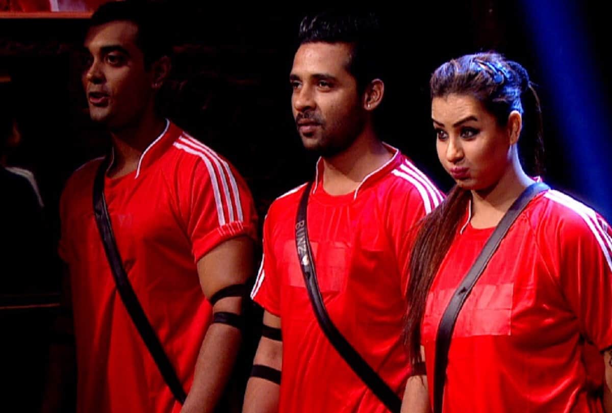 Shocking new from Bigg Boss 11 Puneesh and  Akash Dadlani entered in Finale Week 