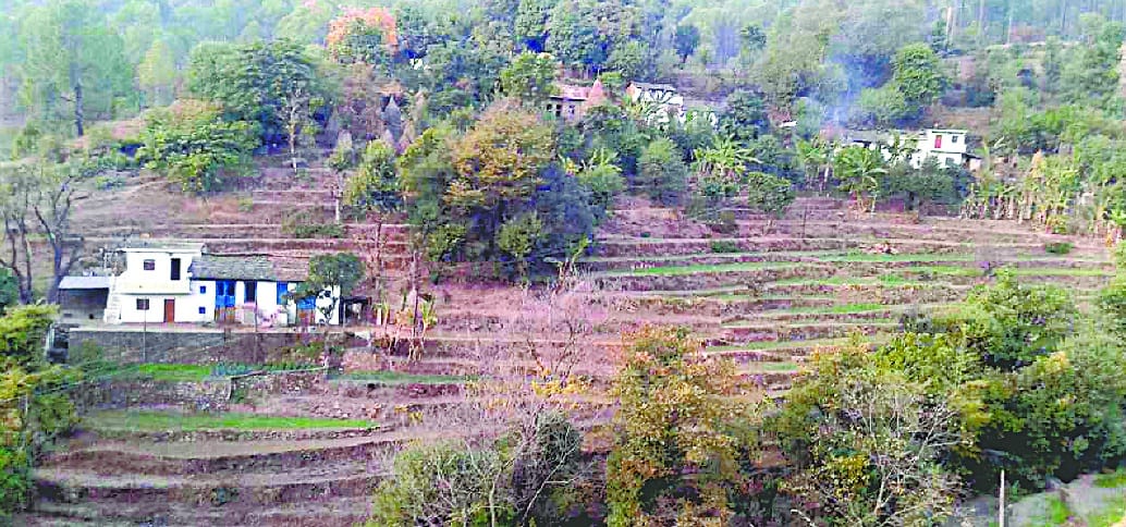  खाड़ी गांव का दृश्य।