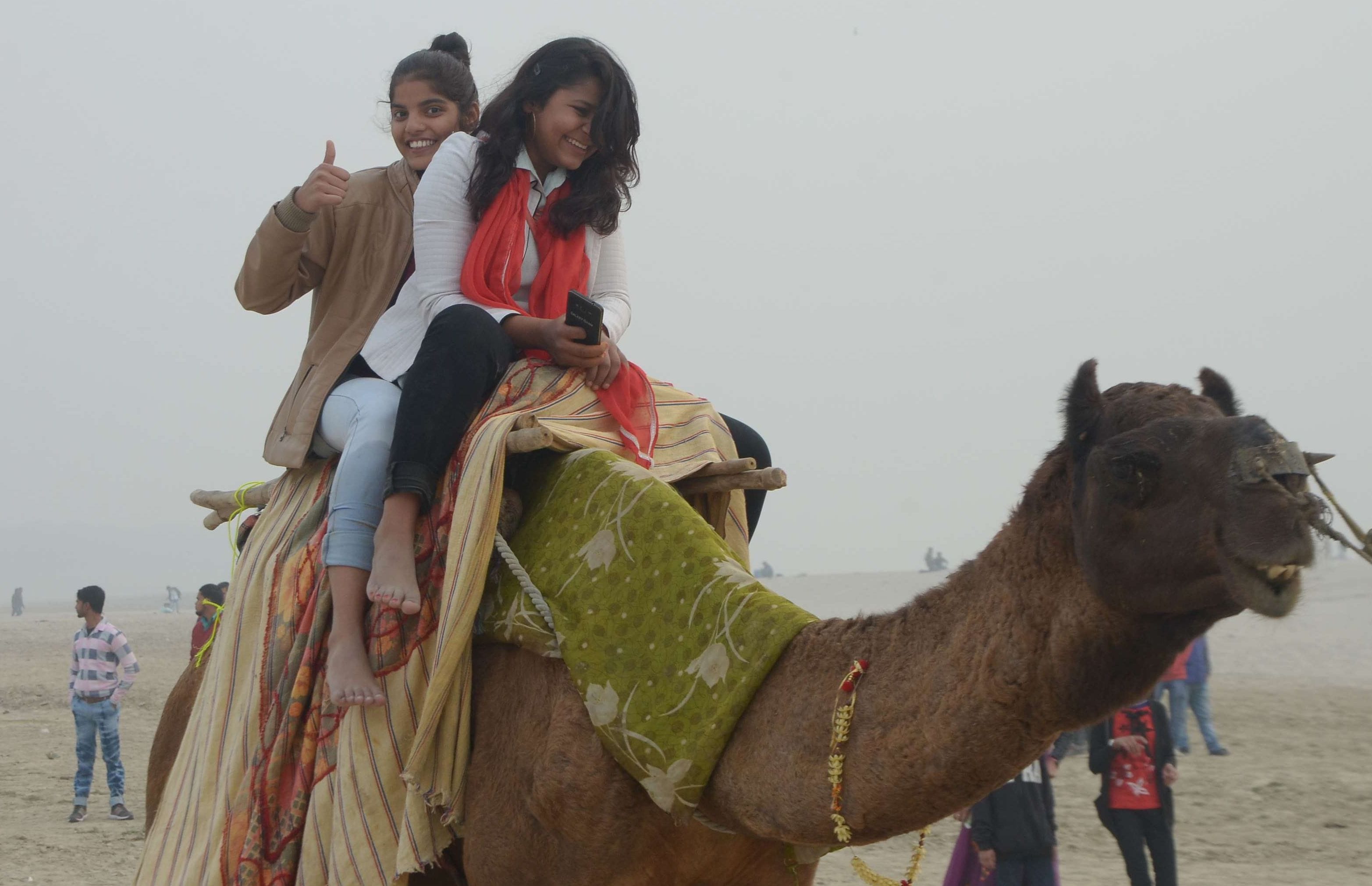 New year celebrations at picnic spots and malls in varanasi