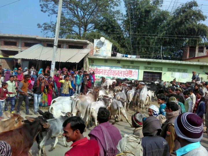 People stunned by leaved animals