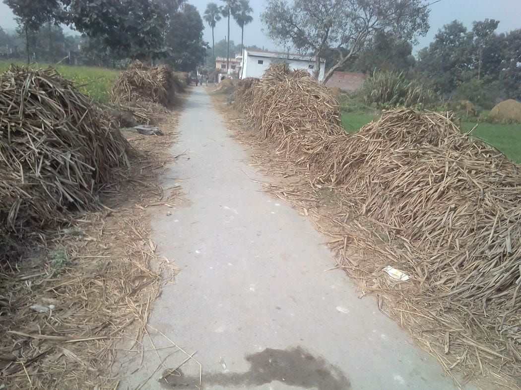 क्वीरीजिमिया तक सड़क निर्माण का रास्ता साफ