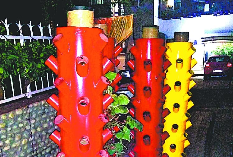 Compost will prepare from wet waste of kitchen