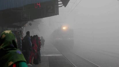 fog cause of four death in rajasthan bharatpur 