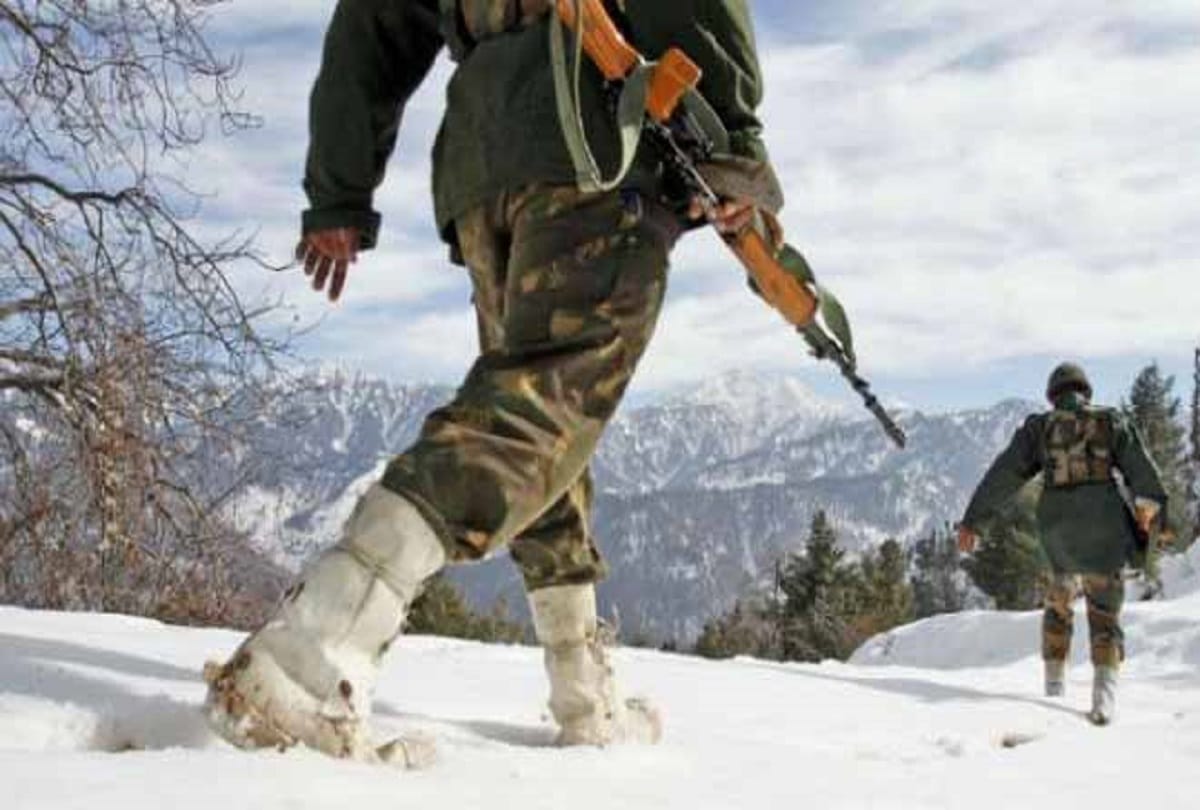 camel can be new ferry for army person in ladakh