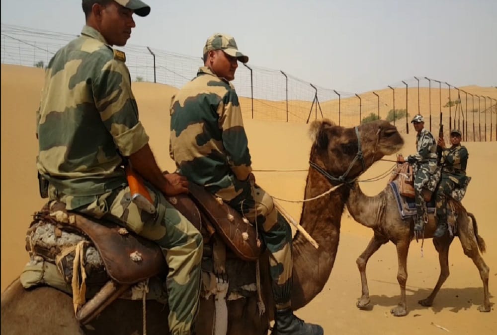camel can be new ferry for army person in ladakh