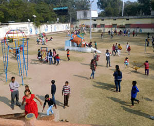 people celebrate new year