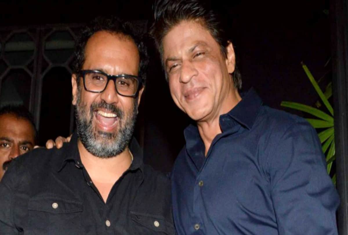 anand l rai shah rukh khan film zero director reveals his strategy