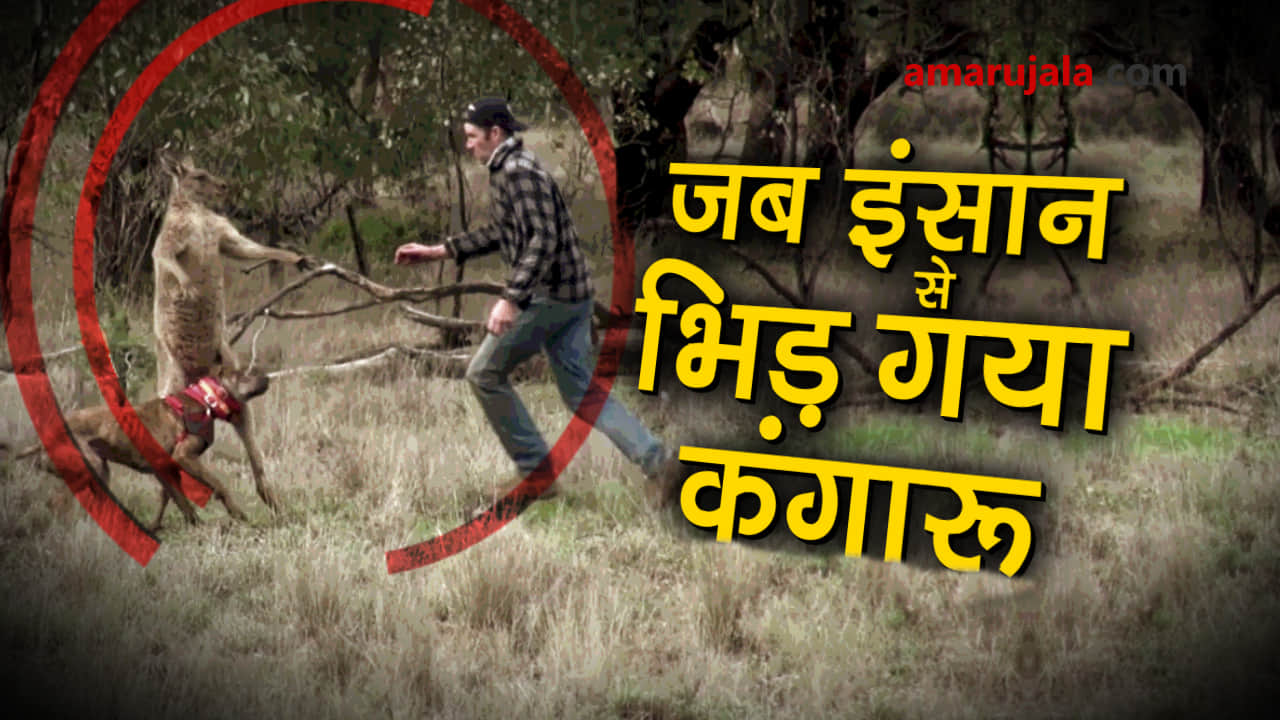 प्रतीकात्मक तस्वीर