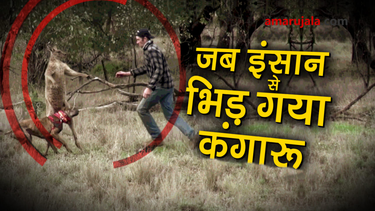 प्रतीकात्मक तस्वीर