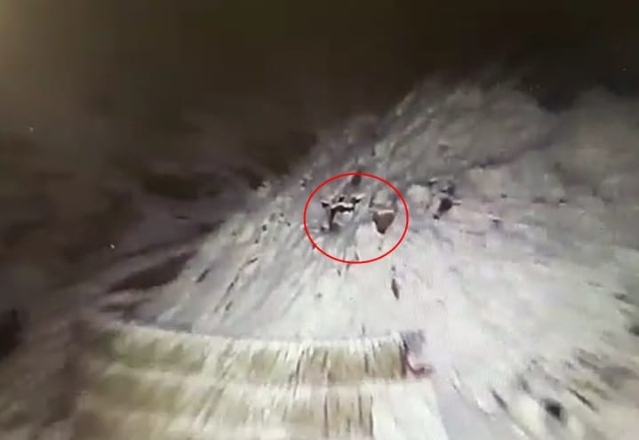 Rare creatures found in kedarnath captured in cctv camera
